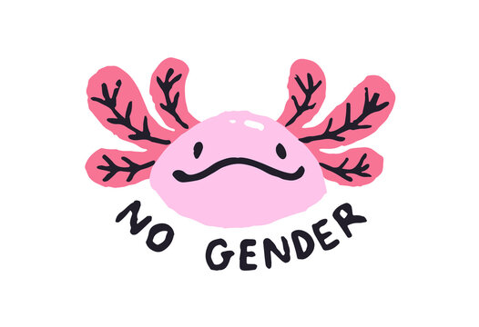 Portrait of cute axolotl with phrase No gender. Kawaii pink animal with LGBT slogan. Symbol of queer love, LGBTQ community and non binary identity. Flat isolated vector illustration on white