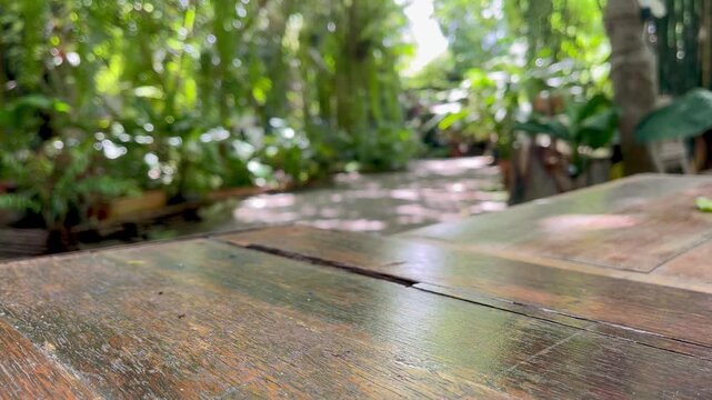 Wooden table in garden
