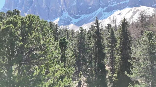 Aerial video of dramatic mountain peaks rising above dense forests in the Dolomites, Italy, showcasing rugged alpine rock formations and spectacular scenery, 4k.