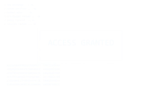 Hacker screen overlay, access granted banner in white monochrome monospace text, computer console interface on transparent background