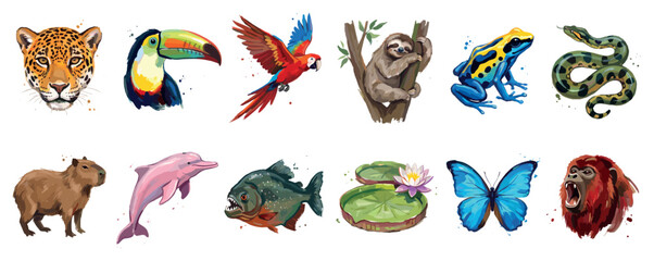 Naklejka premium Amazon rainforest animals icons set. Wildlife and biodiversity concept. Includes jaguar, toucan, macaw, sloth, frog, snake, capybara, dolphin, piranha, water lily, butterfly, orangutan