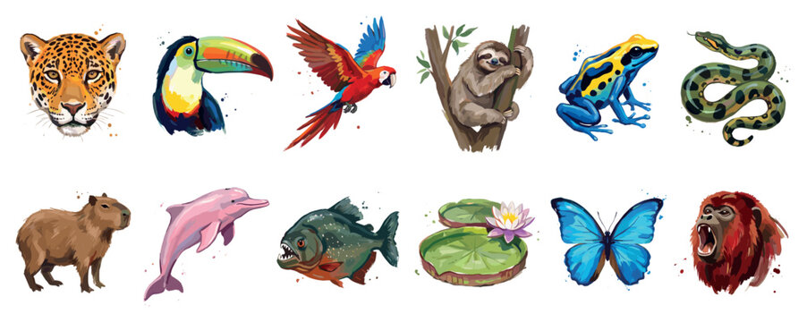 Amazon rainforest animals icons set. Wildlife and biodiversity concept. Includes jaguar, toucan, macaw, sloth, frog, snake, capybara, dolphin, piranha, water lily, butterfly, orangutan