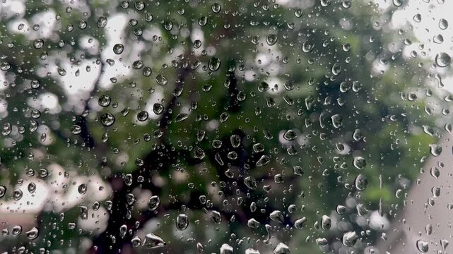 Rain drops on glass