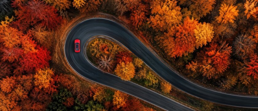 aerial top view of red car driving through tight hairpin curve on winding asphalt road surrounded by vivid orange and red autumn forest