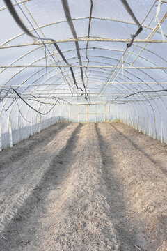 The interior of a greenhouse with soil prepared for planting.