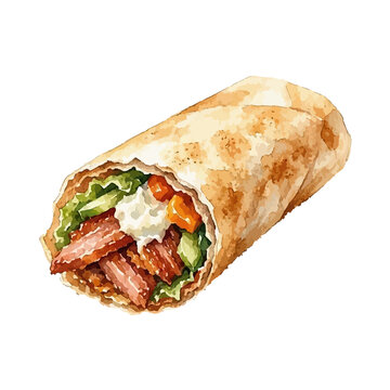 vector watercolor burrito