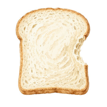 Vector watercolor sliced ​​bread