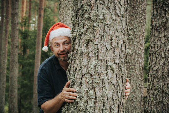 A cheerful middle-aged man in a red Santa hat hugs a large, lichen-covered tree trunk, peering around it in a pine forest. 
