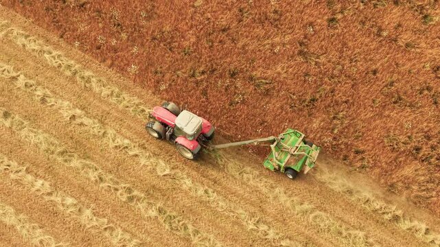 Hay mower cutting dry grass behind tractor during summer field work. Aerial view across harvested rows and active farm equipment. Cattle fodder production, haymaking and seasonal agriculture