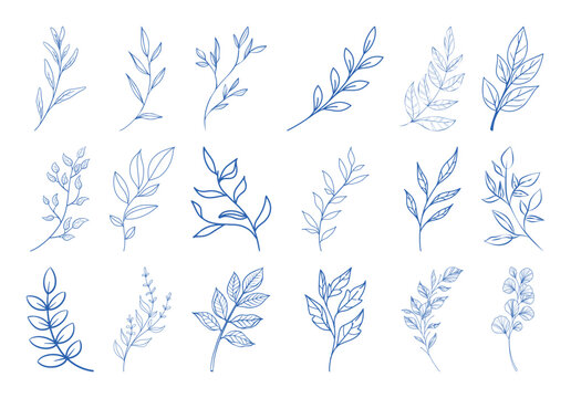 Set of blue botanical branches and leaf twigs. Hand drawn line art foliage elements for elegant branding and logo design.