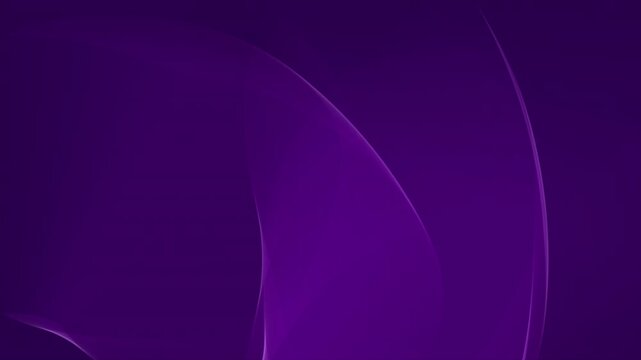 Looping abstract background of dark purple light waves flowing in smooth curves. Great for video backgrounds, presentations, or motion graphics.