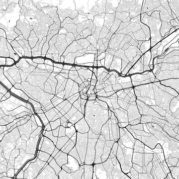 Minimal vector city map of Sao Paulo with streets, parks and road network