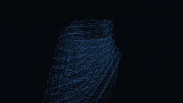 Toroidal data lattice nodes morphing in a seamless network