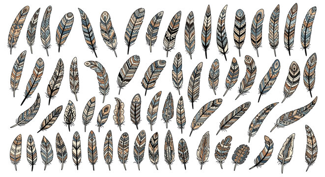 Extensive collection of various bird feathers decorated with intricate tribal patterns and natural brown and blue color tones.