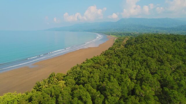 Aerial view of dense palm tree forest lining a scenic sandy beach in Costa Rica