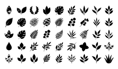 Fototapeta premium Premium Green Leaf Design Elements with Botanical Foliage for Eco Bio Vegan and Natural Labels