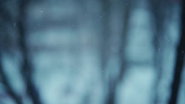slow motion of snowfall with snowflakes on blurred trees in winter, close up of falling snow in park during cold winter weather 4k