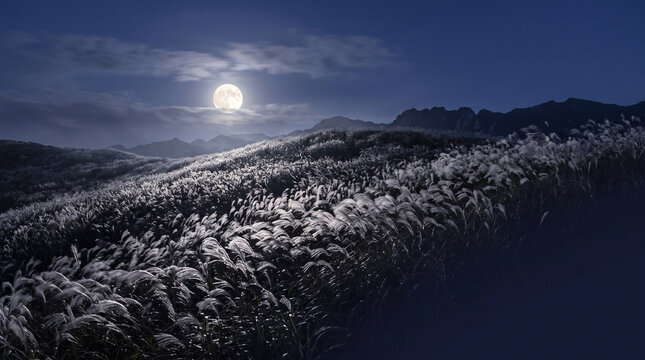 Full moon rising over a windswept field of silver grass on a hillside at night
