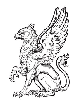 Heraldic Winged Lion Griffin Vintage Engraving Vector Illustration, Medieval Mythical Creature, Hand Drawn Black and White Line Art