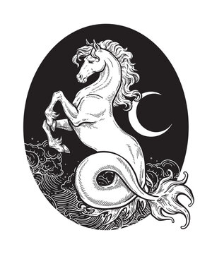 Heraldic Rearing Horse Hippocampus Sea Horse Vintage Engraving Vector Illustration, Medieval Stallion Emblem, Hand Drawn Black and White Line Art