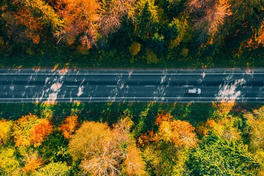 Autumn foliage surrounding asphalt road with lone vehicle traversing through vibrant colors
