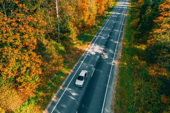 Autumnal road lined with vibrant orange and yellow trees alongside a moving car
