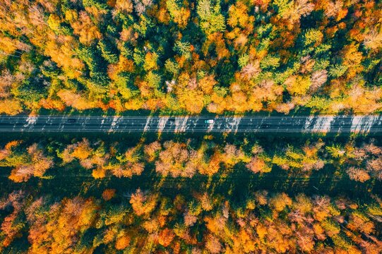Aerial view of a winding road surrounded by vibrant autumn foliage and colorful trees