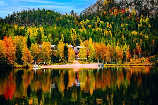 Autumn foliage reflecting on tranquil lake surface with small boats and wooden cabins in Finland