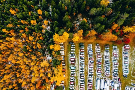 Aerial view of parked vehicles bordered by vibrant autumn trees in a colorful forest setting in Finland