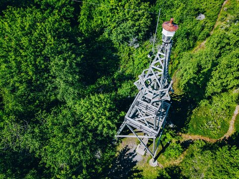 Wooden fire observation tower surrounded by dense green forest foliage and natural scenery in Finland