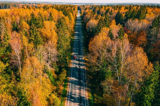 Aerial view of a winding road through autumn-colored trees with vibrant foliage and greenery