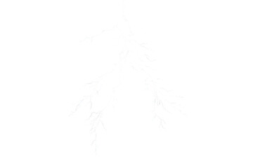 Fototapeta premium White Forked Lightning Bolt
