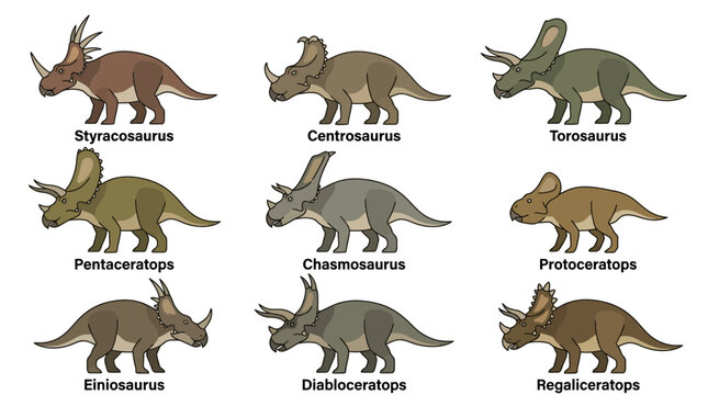 Labeled illustrations of various ceratopsian dinosaur species.