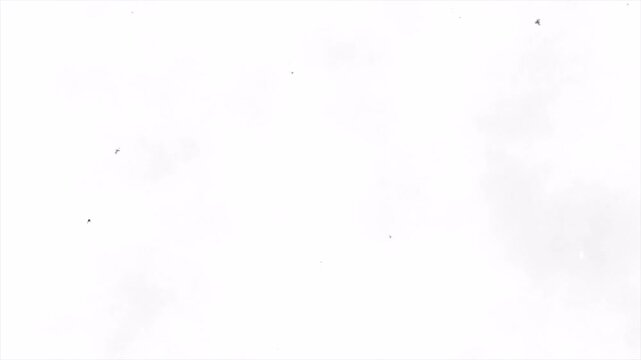 Abstract Black and White Split Screen Transition Motion Graphic.