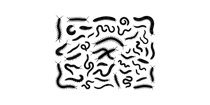 Black silhouette collection of various worms and centipedes crawling in different positions for biology diagrams or garden pest graphics.