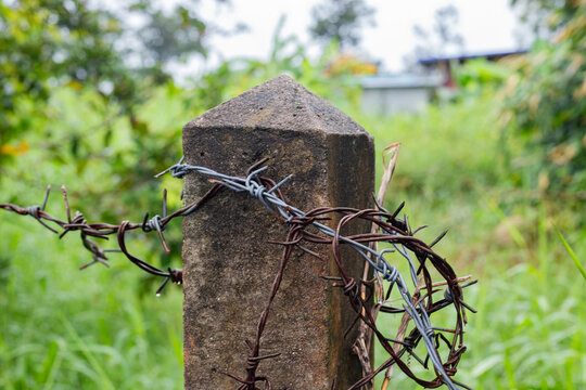 Rusty barbed wire wrapped around a concrete post in a green field