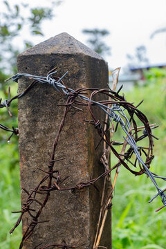 Rusty barbed wire wrapped around a concrete post in a green field