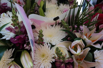 Vibrant floral arrangement featuring white chrysanthemums and pink accent blossoms © Aoun
