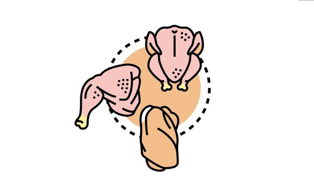Broiler chicken ranch concept different raw poultry meat products, including whole chicken, leg with thigh, and breast, representing food, business, and production