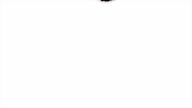 Abstract White Ink Blot Transition Effects on Black Background.