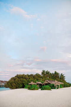 Thatched huts on a tropical Maldives beach surrounded by palm trees