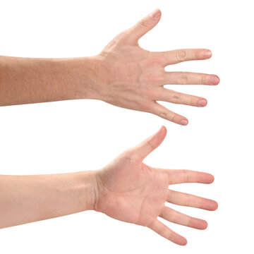 Set of open male hands showing front and back views, isolated on transparent cutout background
