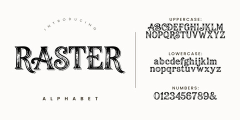 Raster Decorative Serif Display Font with Rough Textured Vintage Style Lettering Design © happy