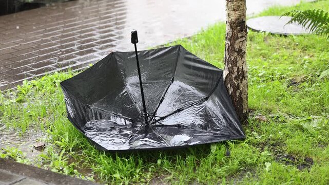 Black umbrella lying on wet grass as rain falls during daytime