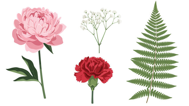 A collection of delicate botanical illustrations featuring a pink peony, a red carnation, baby's breath, and a green fern frond.