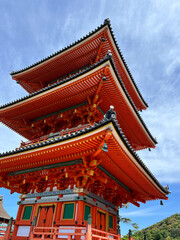 Fototapeta premium japanese temple looking upward