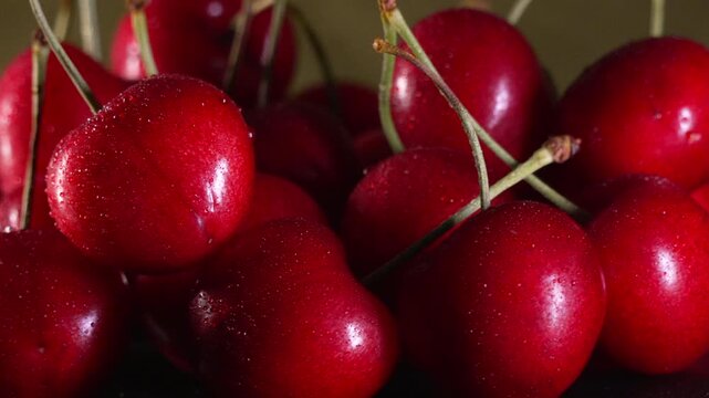 Cherry fruit fresh, group of ripe red cherries with water droplets in close up studio macro shot for healthy food and summer diet themes