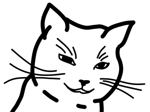 Smug cat face, sly cartoon kitty expression, black and white cute cat sticker design