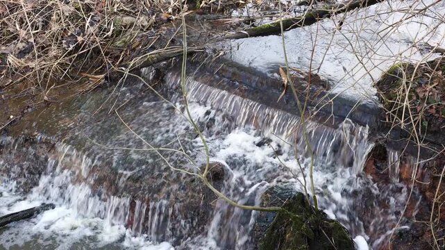 Water flowing over small weir in woodland stream during daytime
