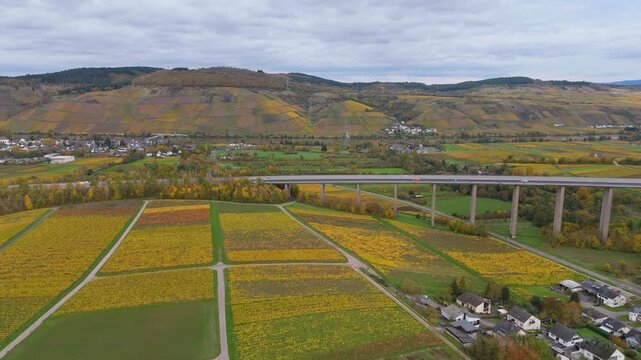 Vineyards in Moselle valley, autumn season, Mosel Viaduct Longuich, bridge of highway crossing river near Trier, aerial view